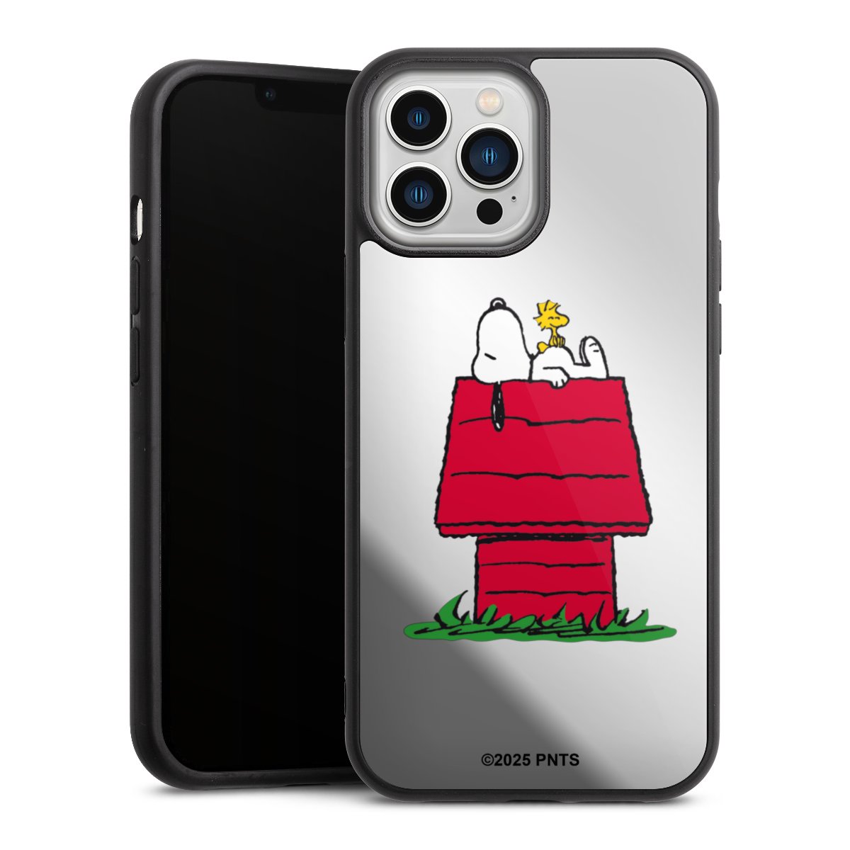 Snoopy and Woodstock Classic transparent