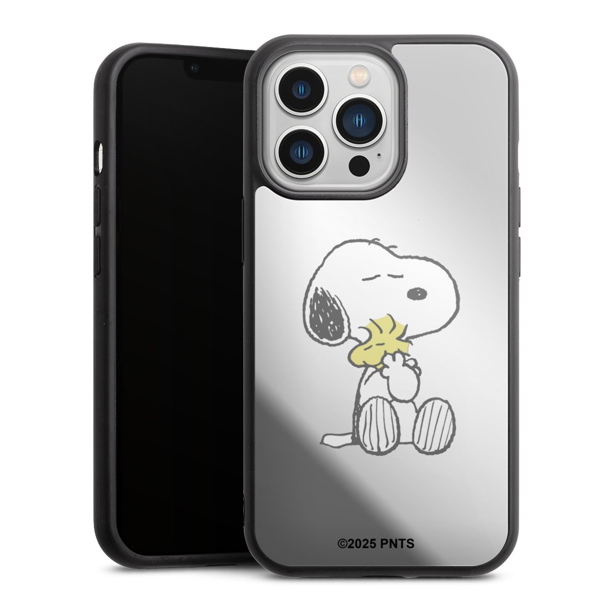 Snoopy And Woodstock Cuddling transparent