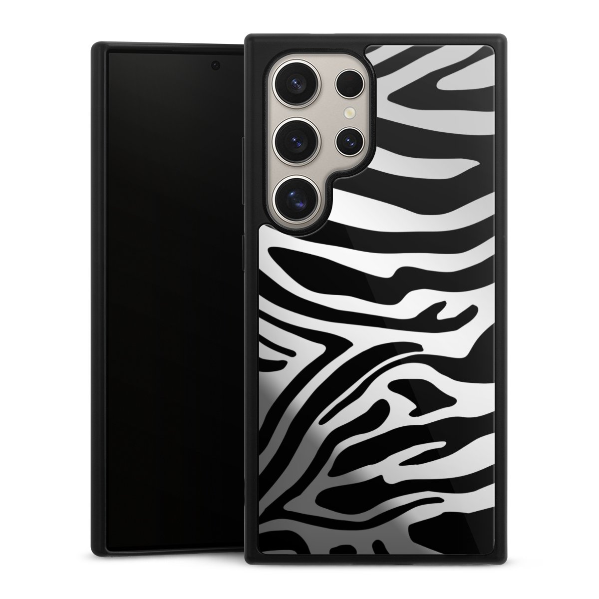 Zebra ohne Hintergrund