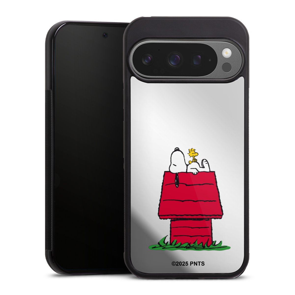 Snoopy and Woodstock Classic transparent