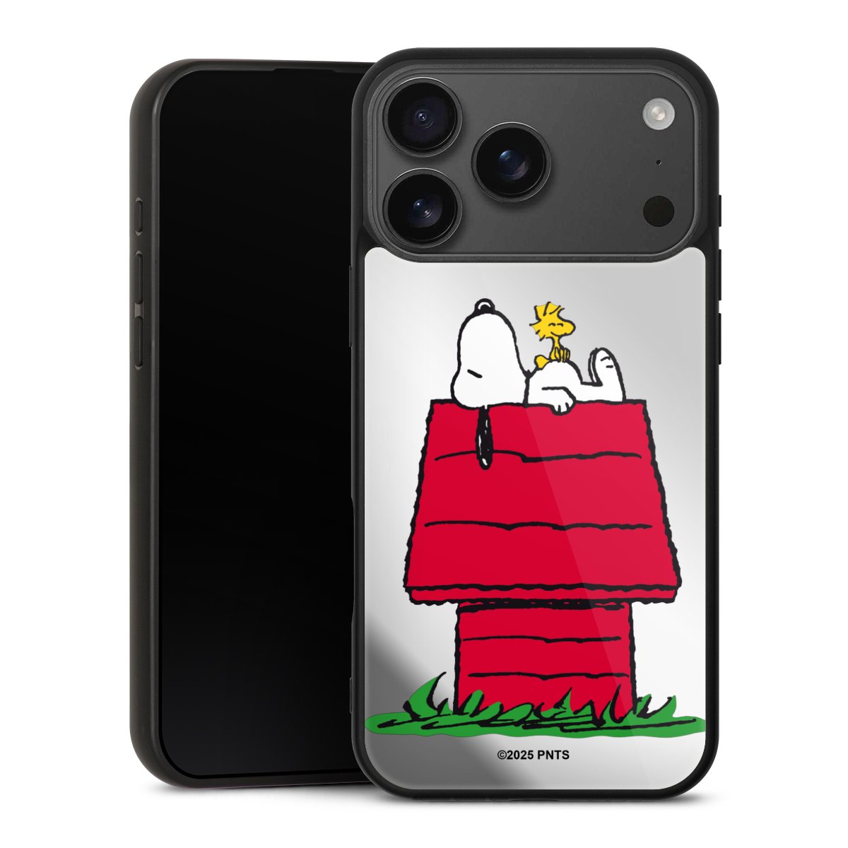 Snoopy and Woodstock Classic transparent