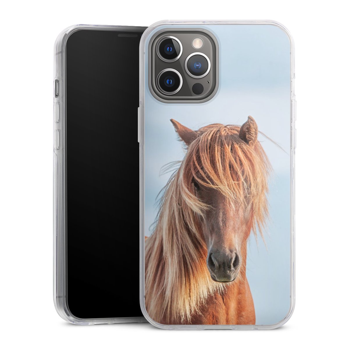 Cover rigida