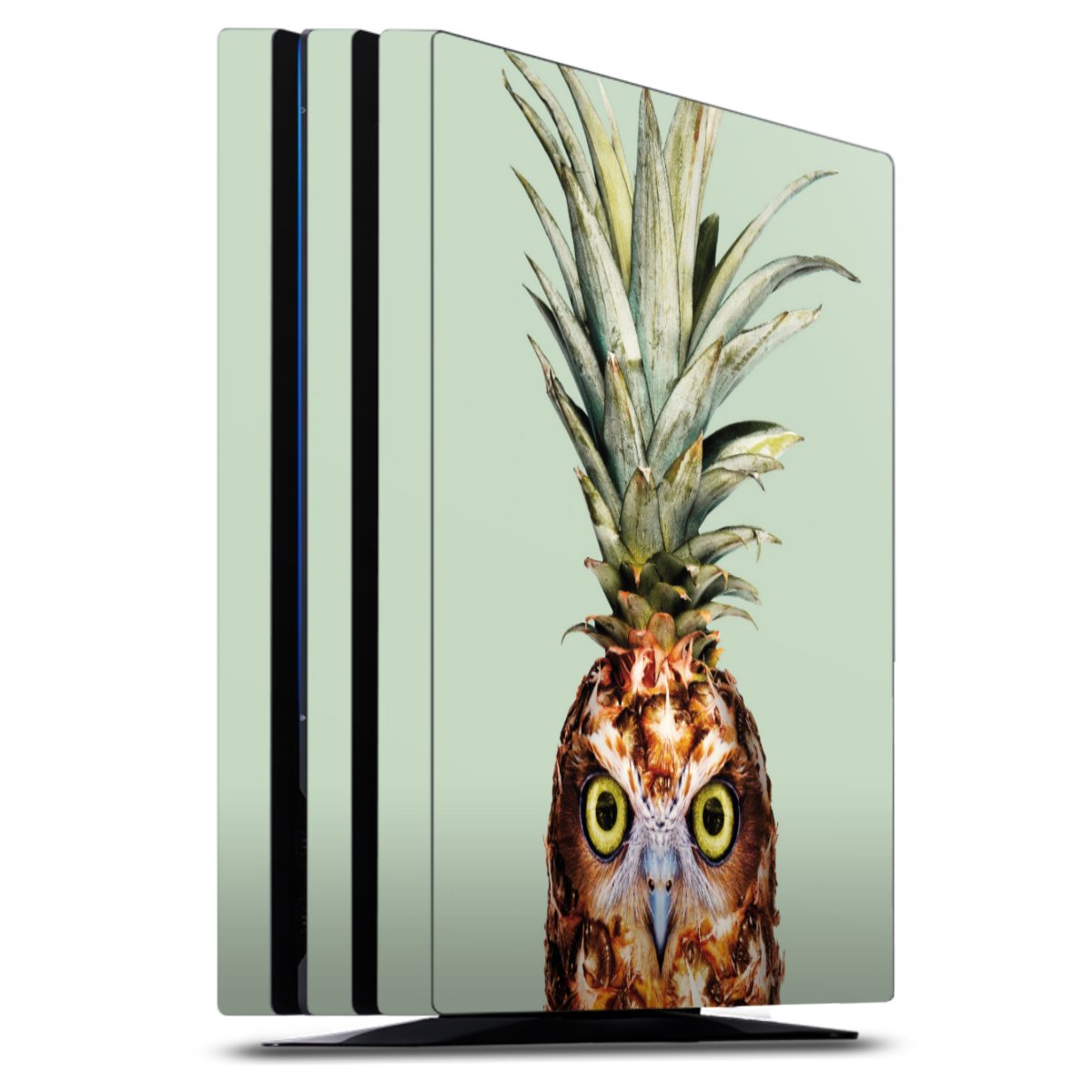 Hibou de l'ananas