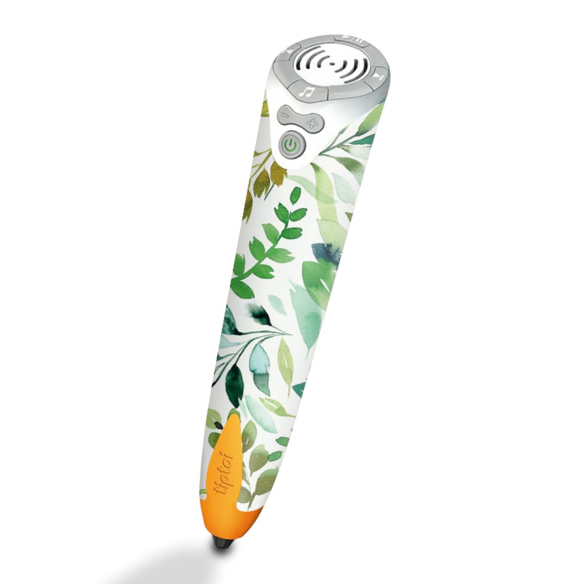 Aquarelle Palmes Feuilles Botanique Vert