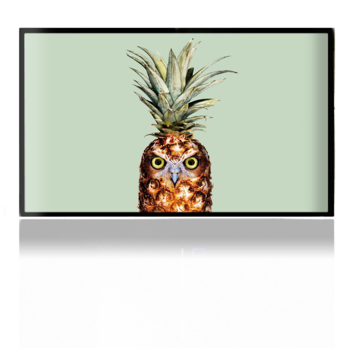 Hibou de l'ananas