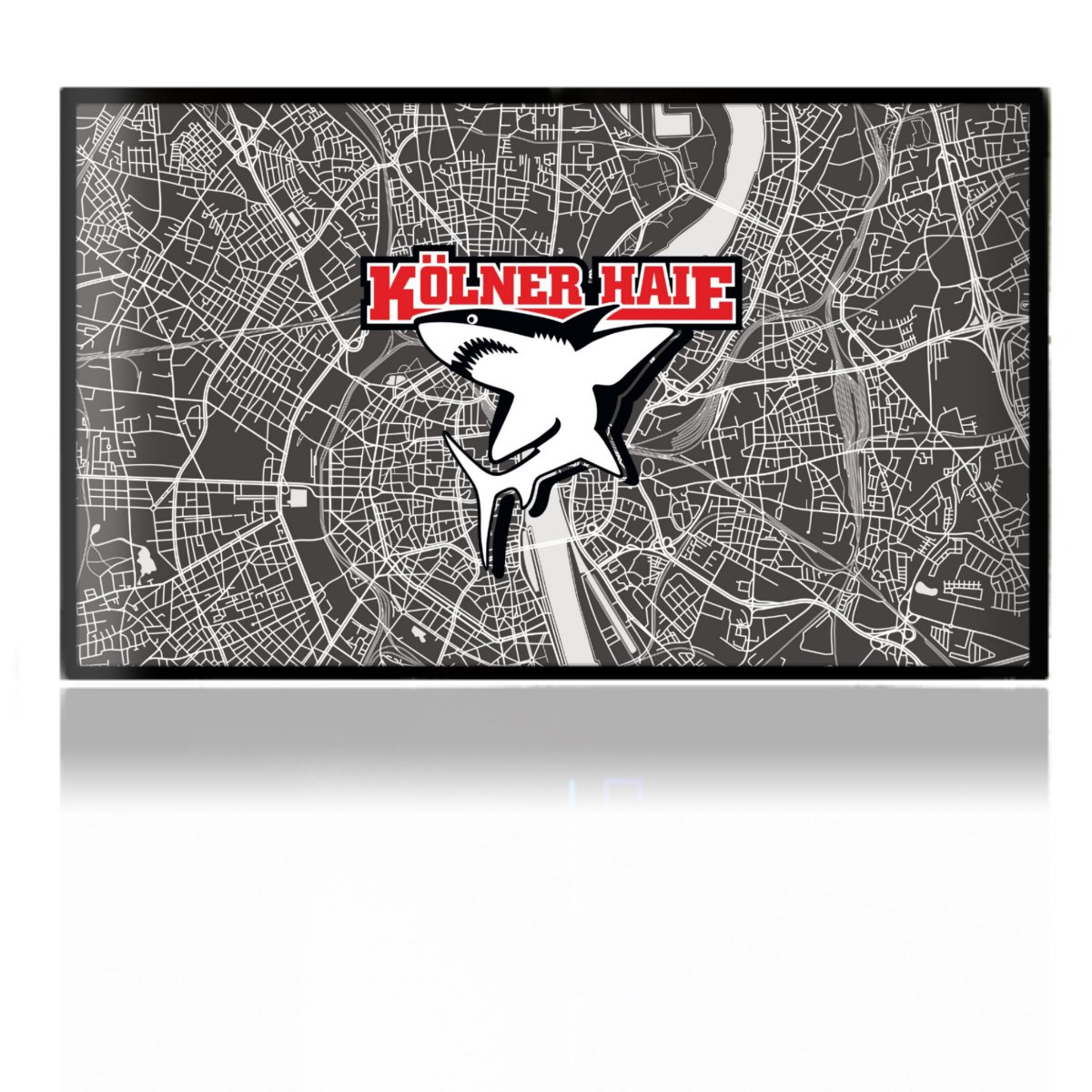 Kölner Haie City