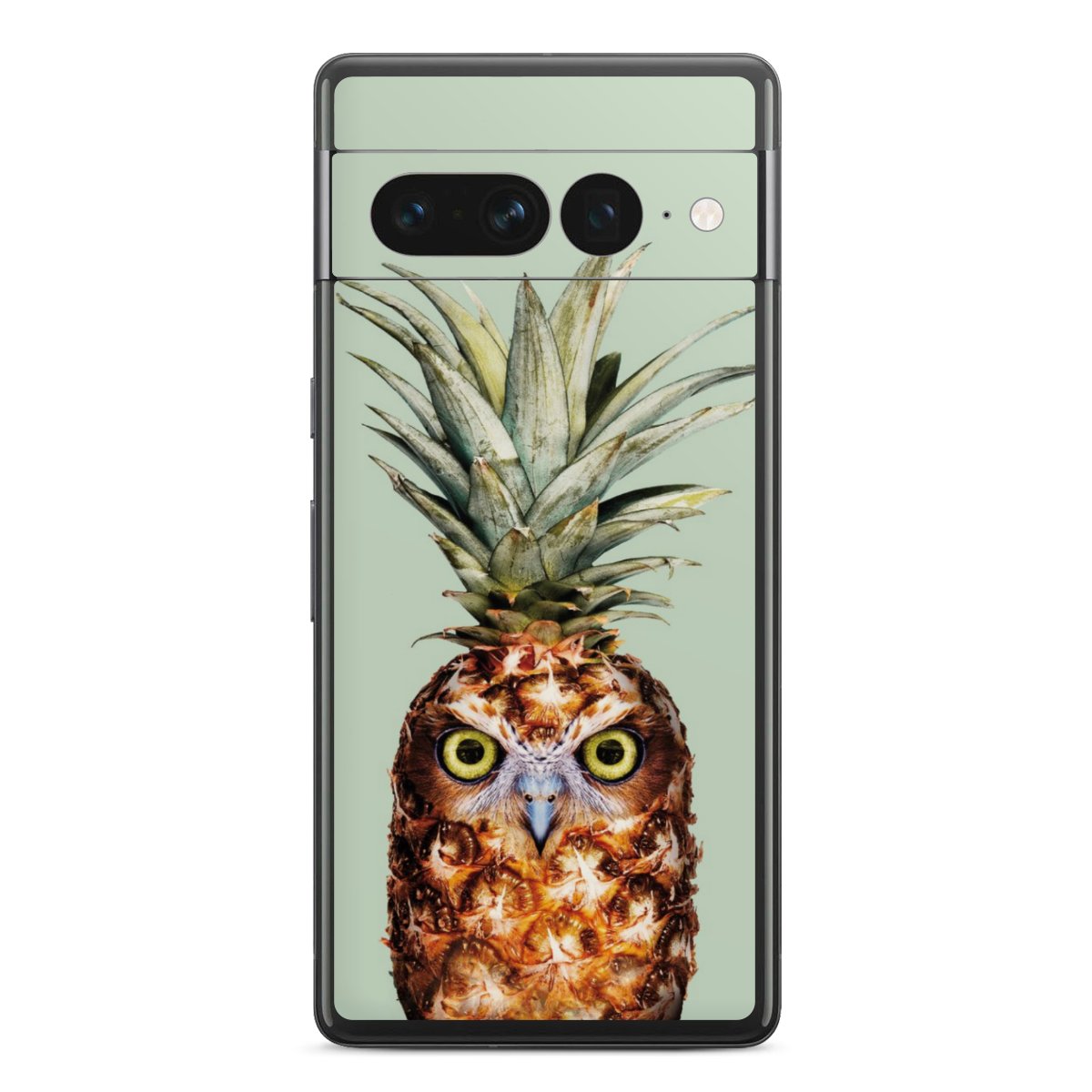 Hibou de l'ananas