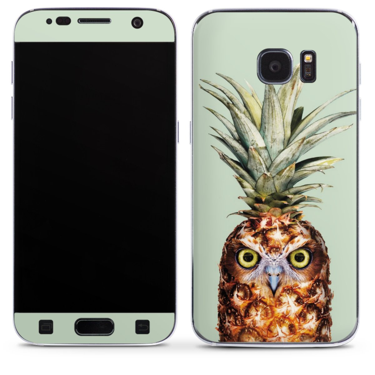 Hibou de l'ananas