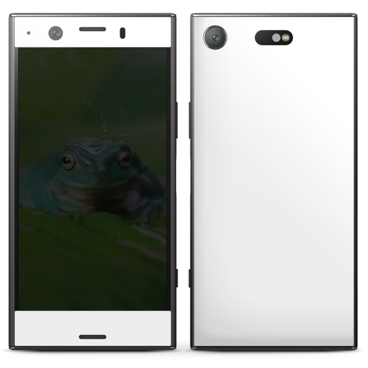 Foils for Smartphones per Sony Xperia XZ 1 Compact