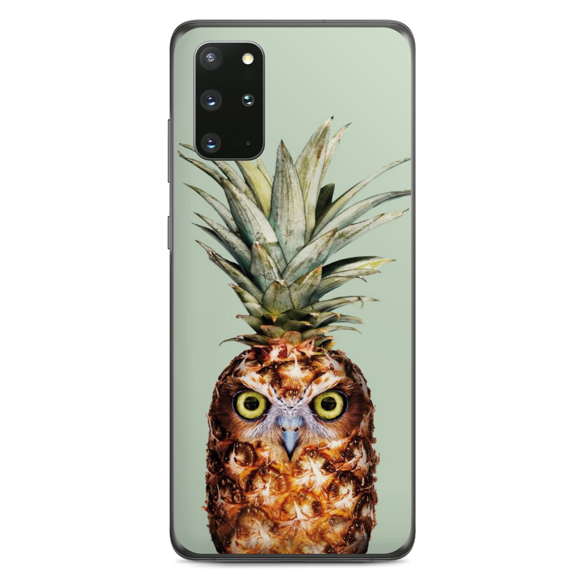 Hibou de l'ananas