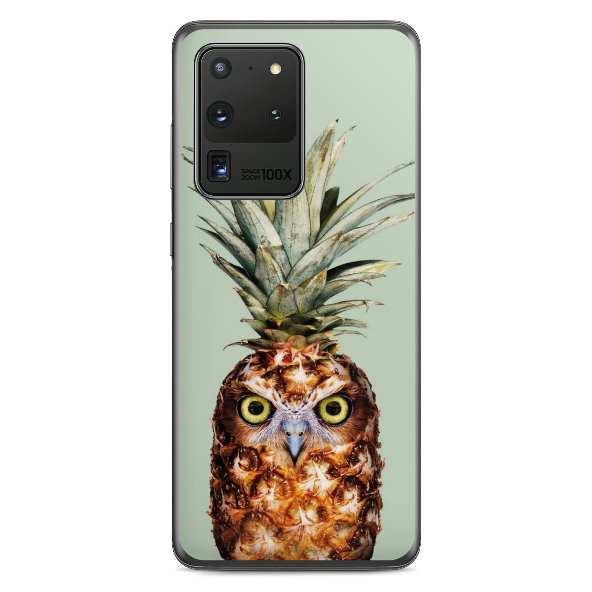 Hibou de l'ananas