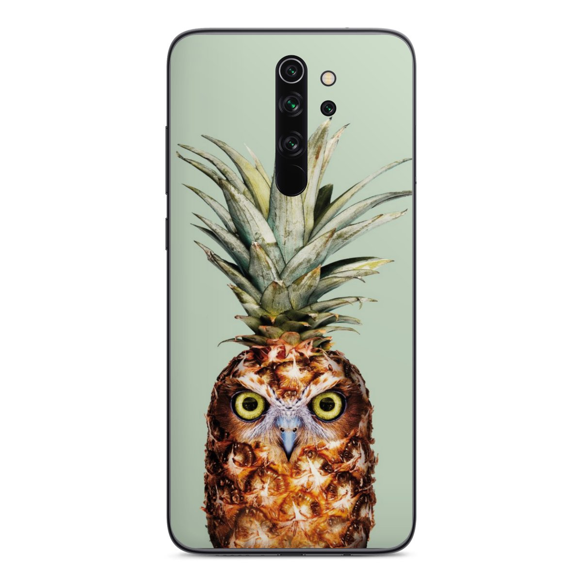 Hibou de l'ananas