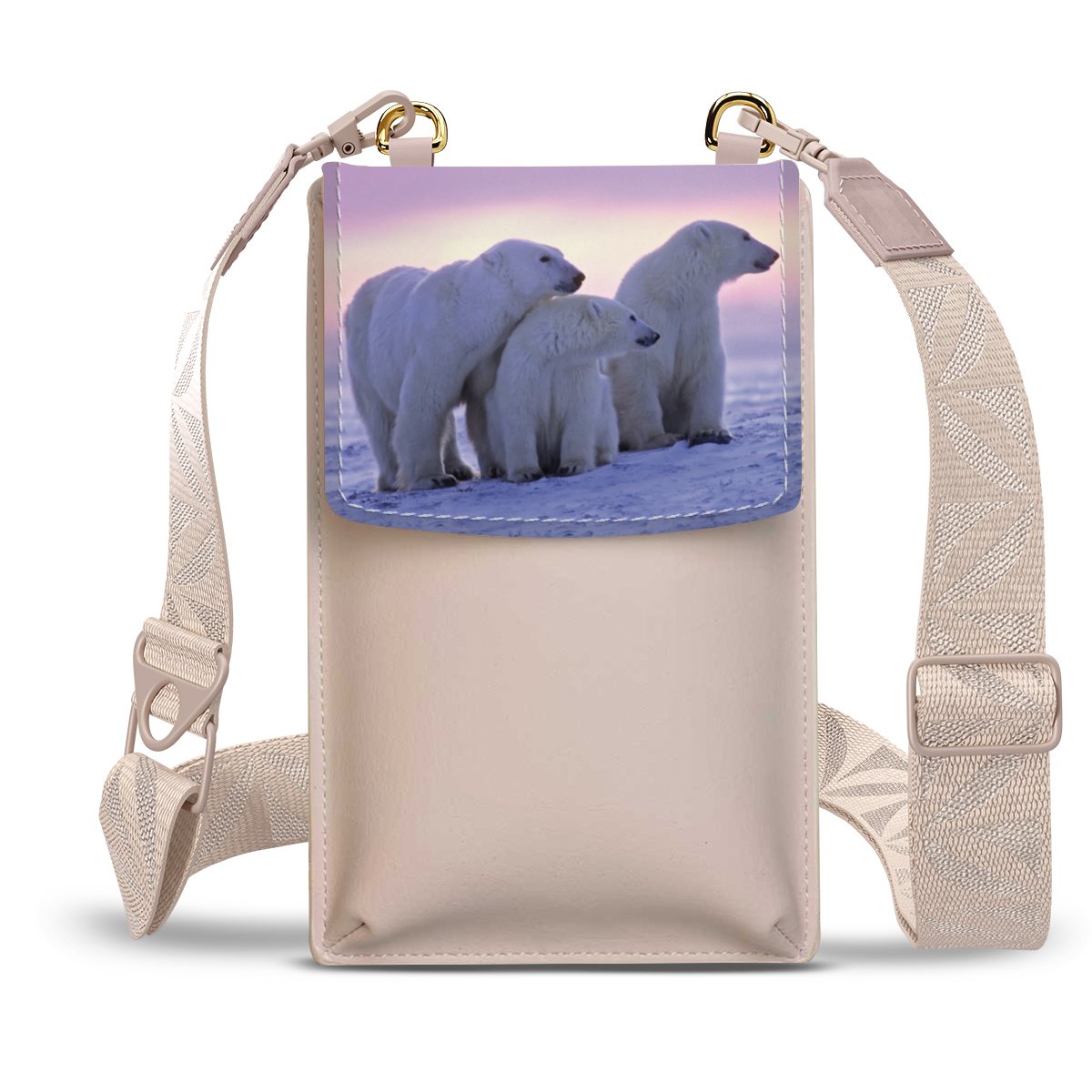 Ours Polaires