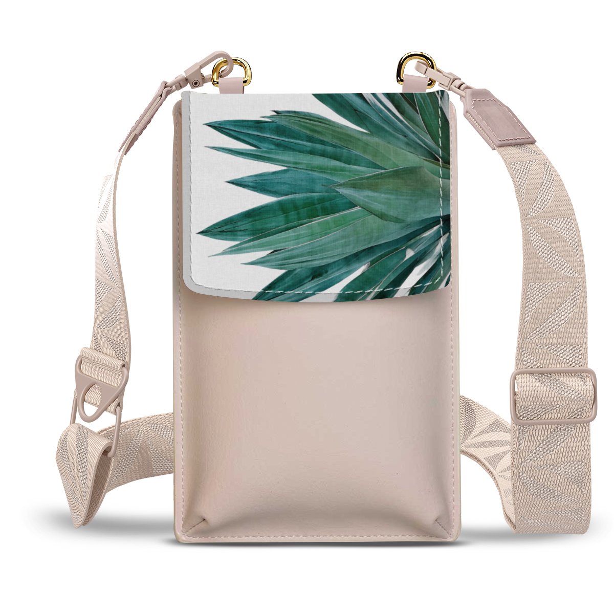 Agave Cactus