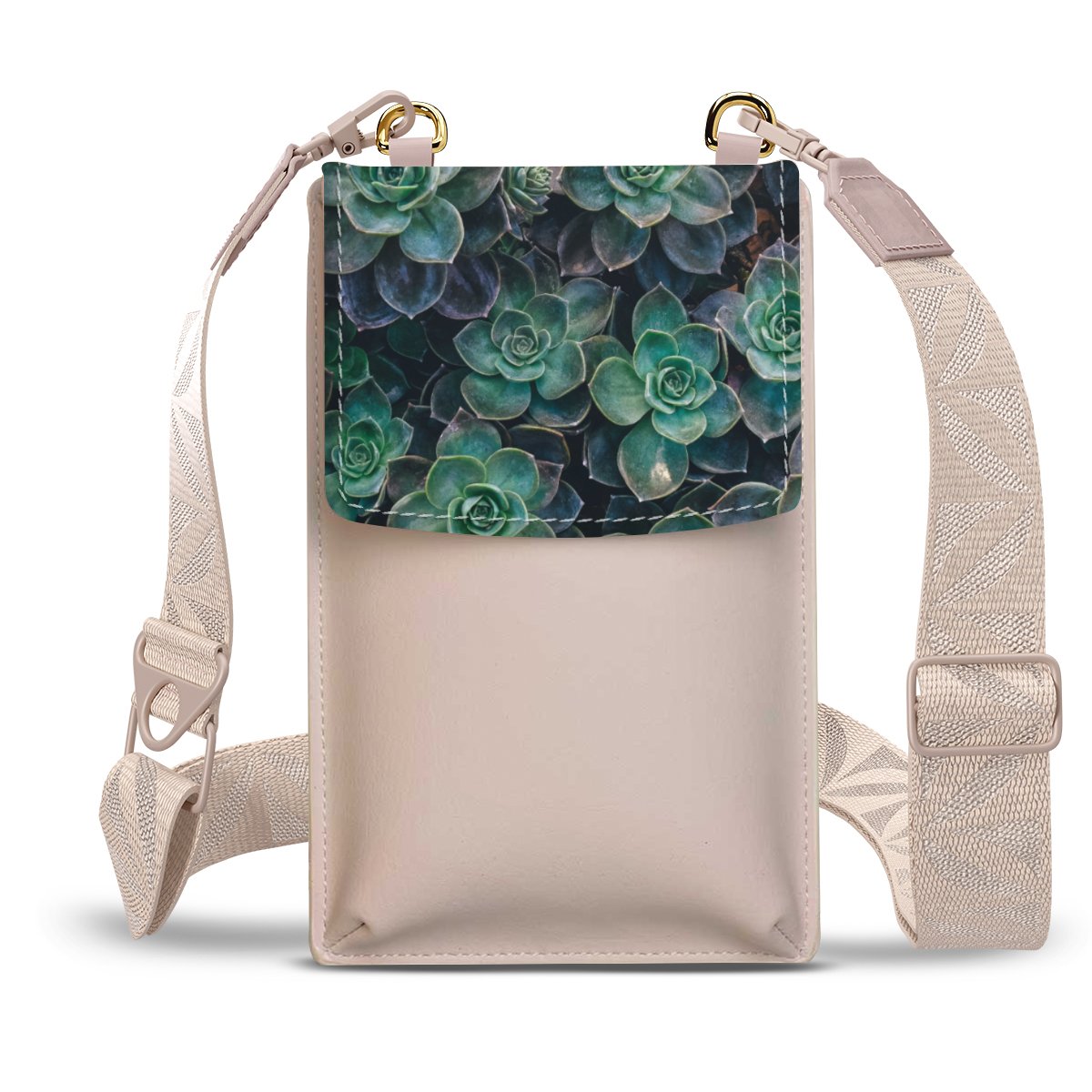 Lit de Plantes Succulentes