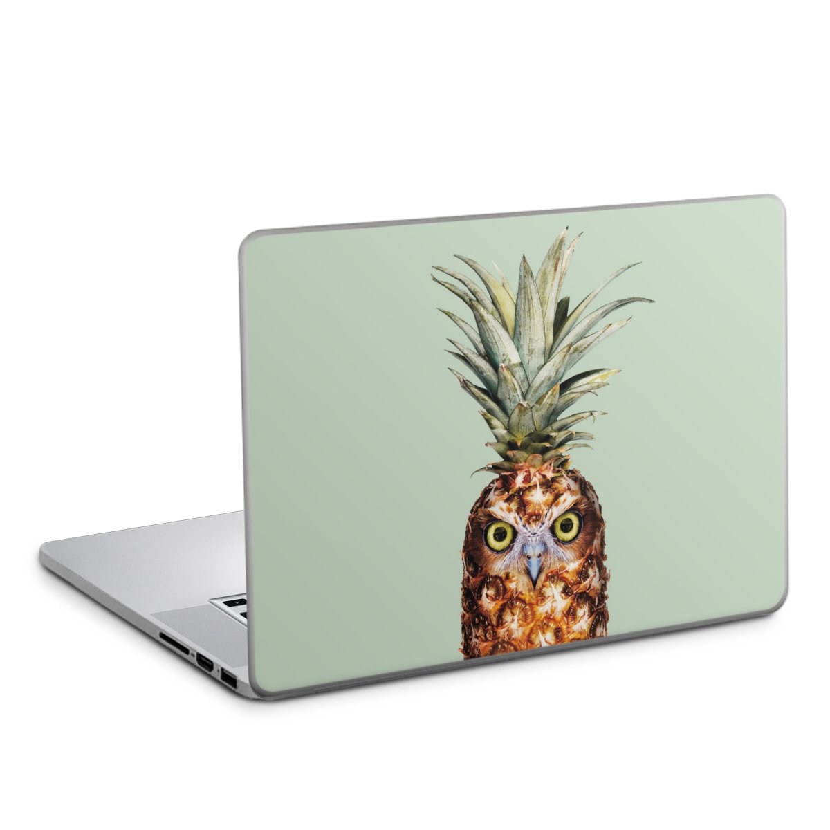 Pineapple Owl