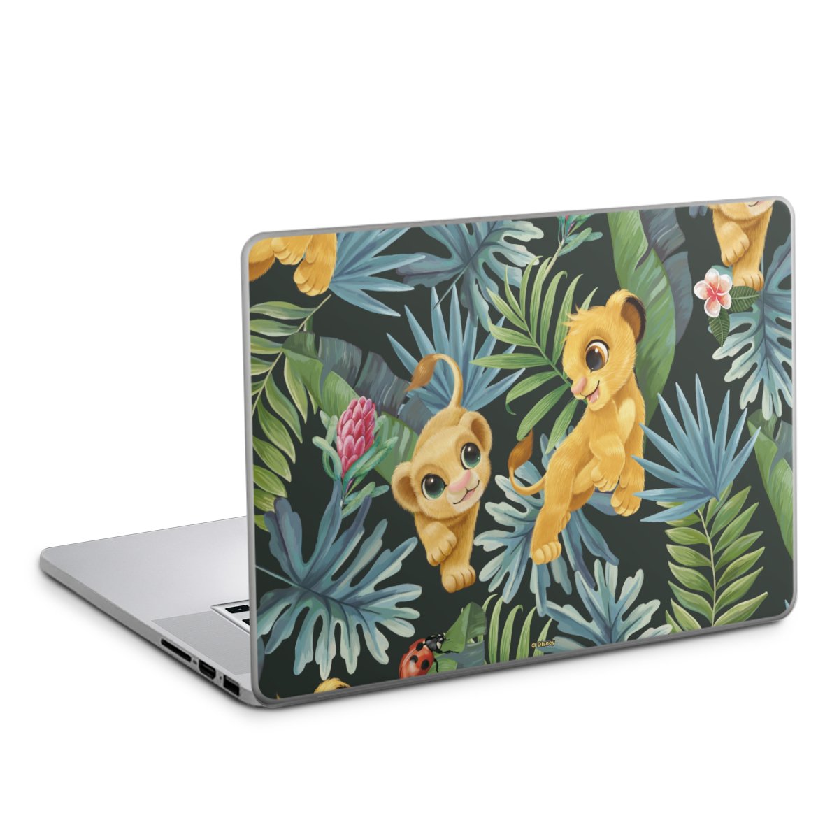 Simba and Nala Pattern