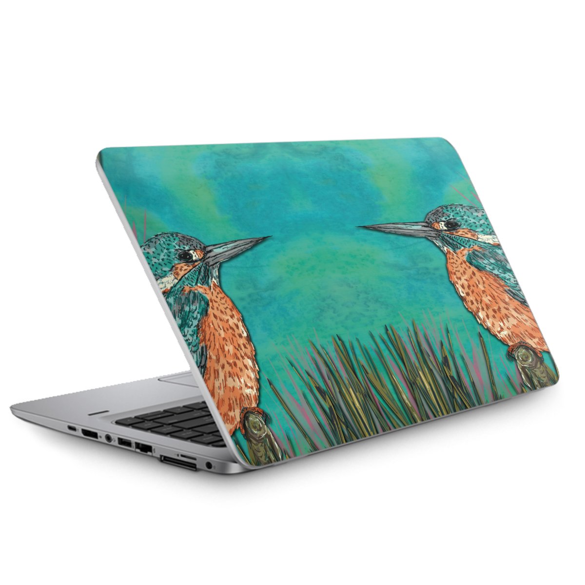 IJsvogel