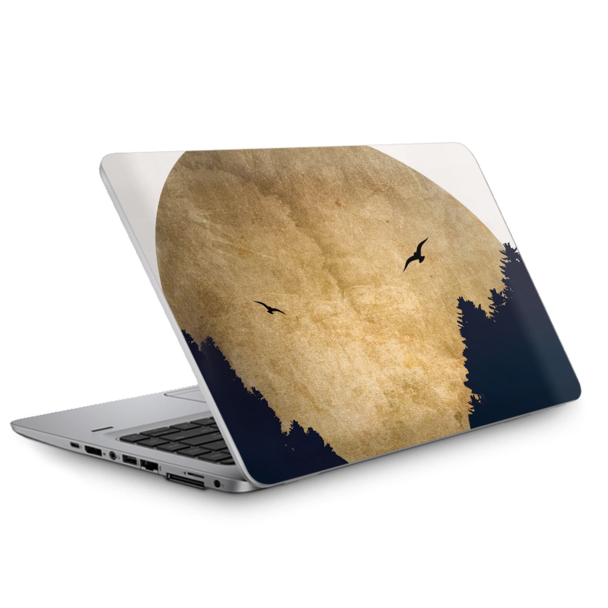 Twee vogels en de maan