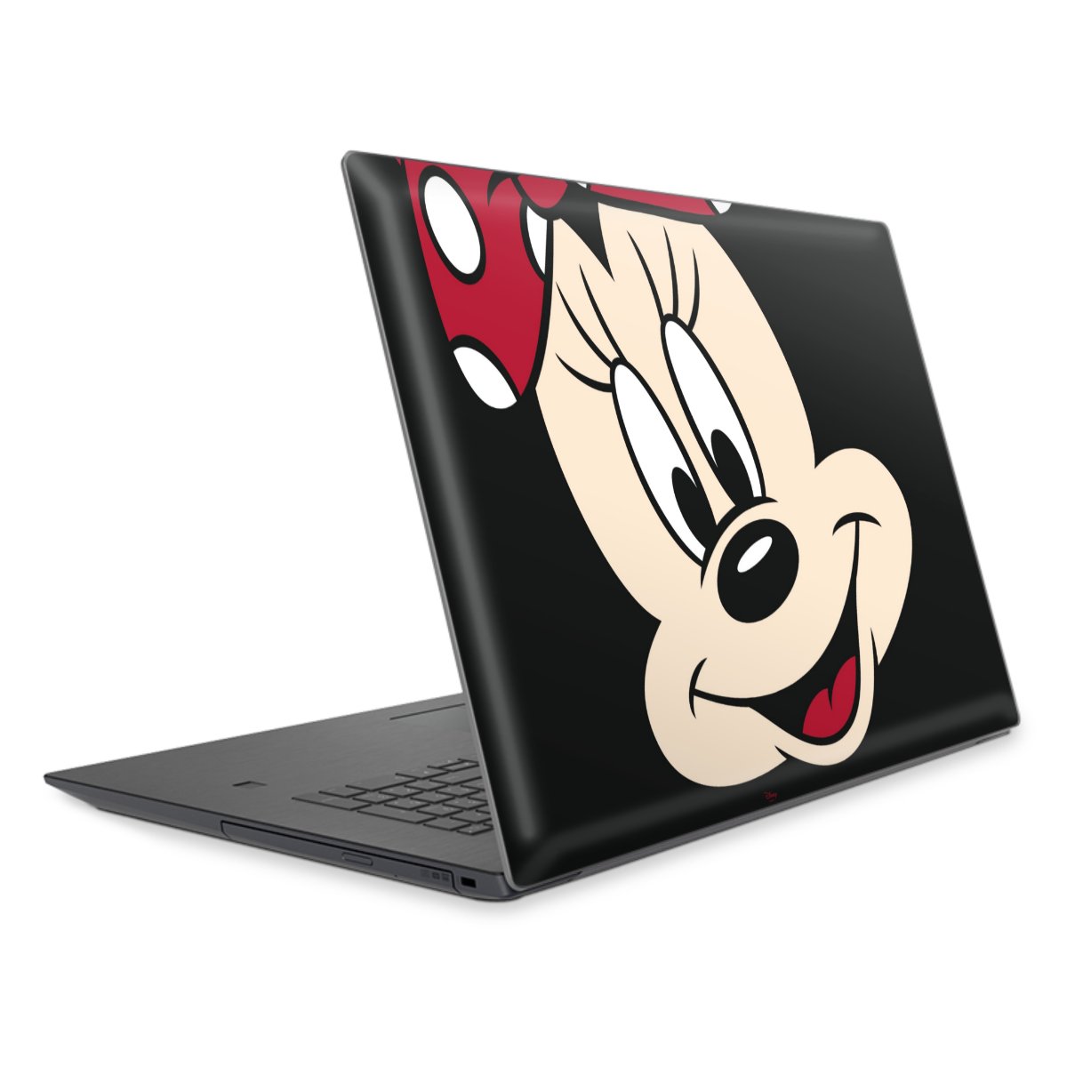 Minnie dappertutto