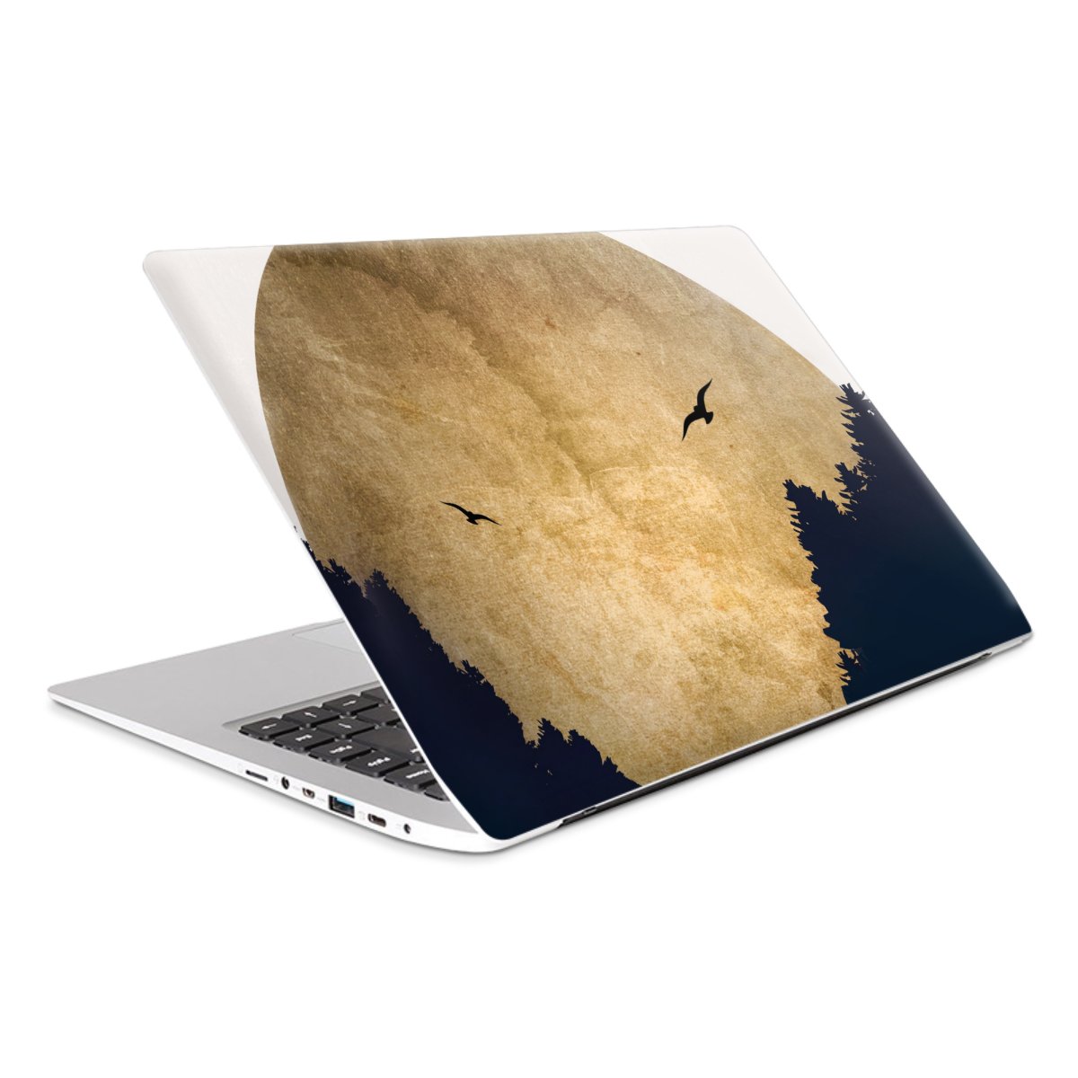 Twee vogels en de maan