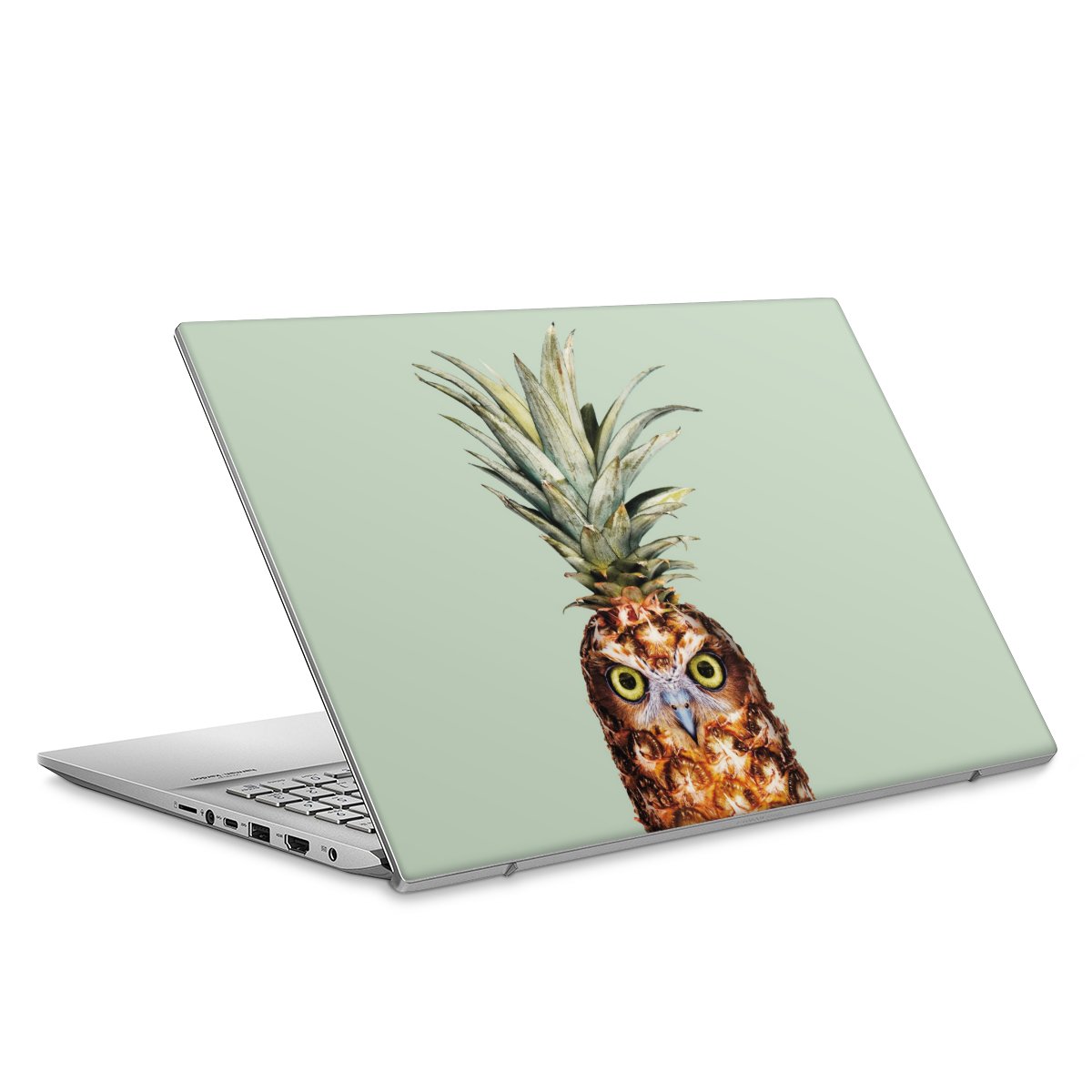 Pineapple Owl
