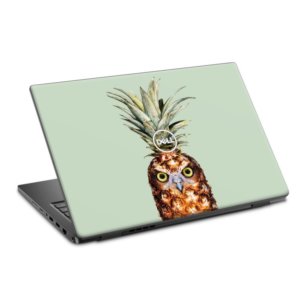 Hibou de l'ananas