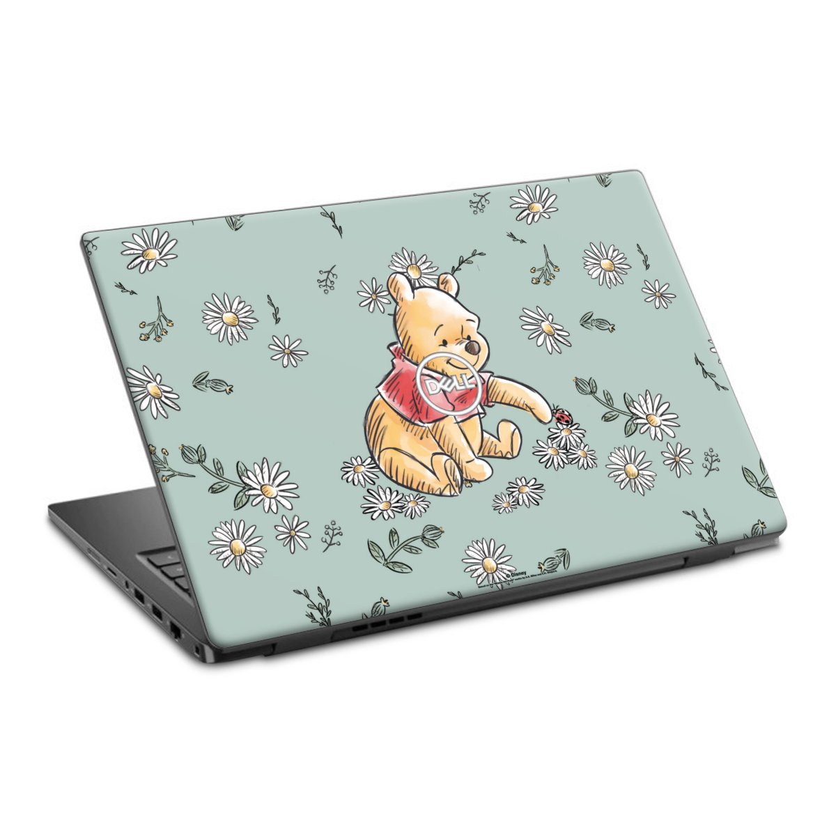 Winnie the Pooh Daisy and Bug Love