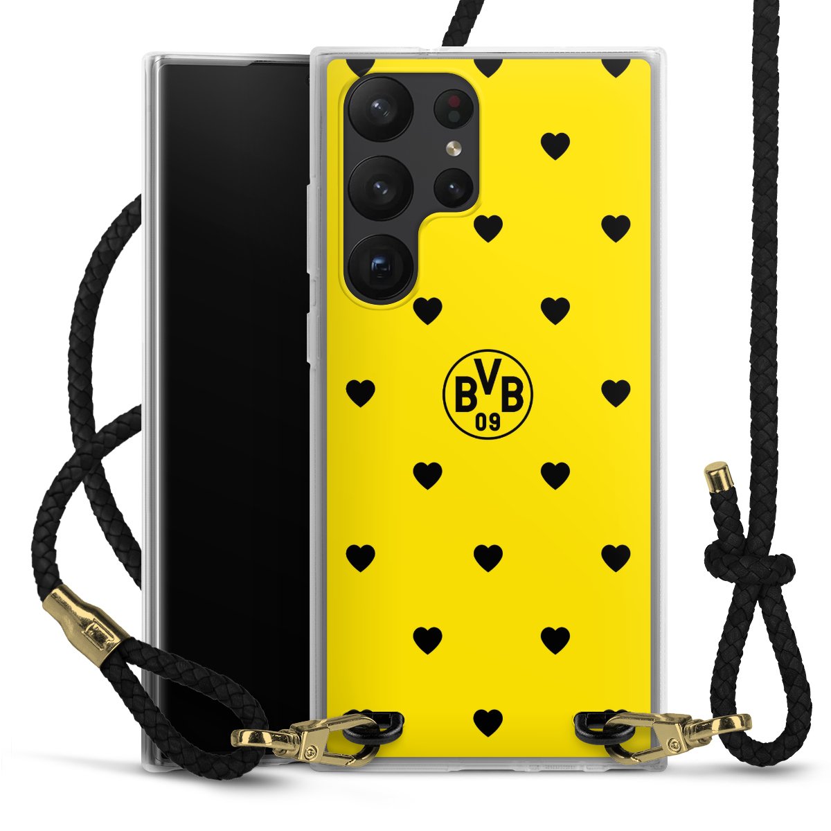 BVB Herzen