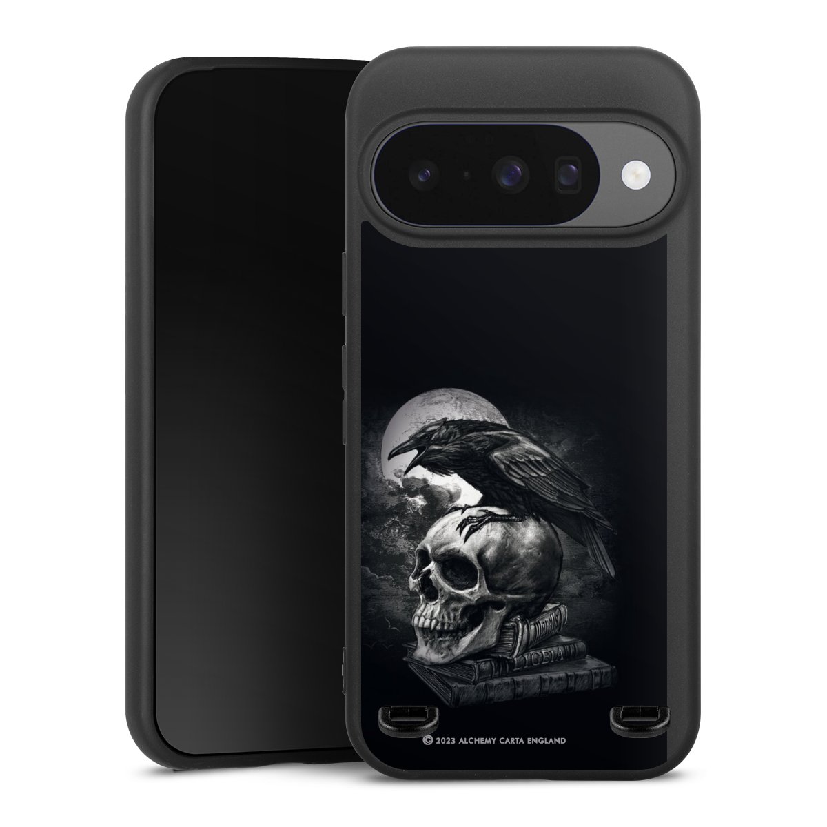 Poe's Raven