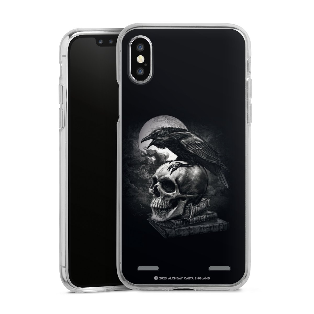 Poe's Raven