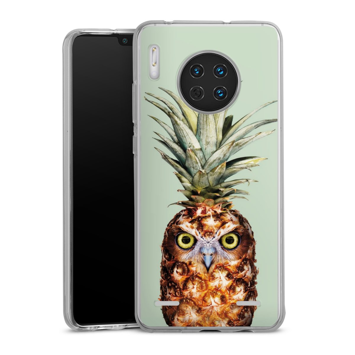 Hibou de l'ananas