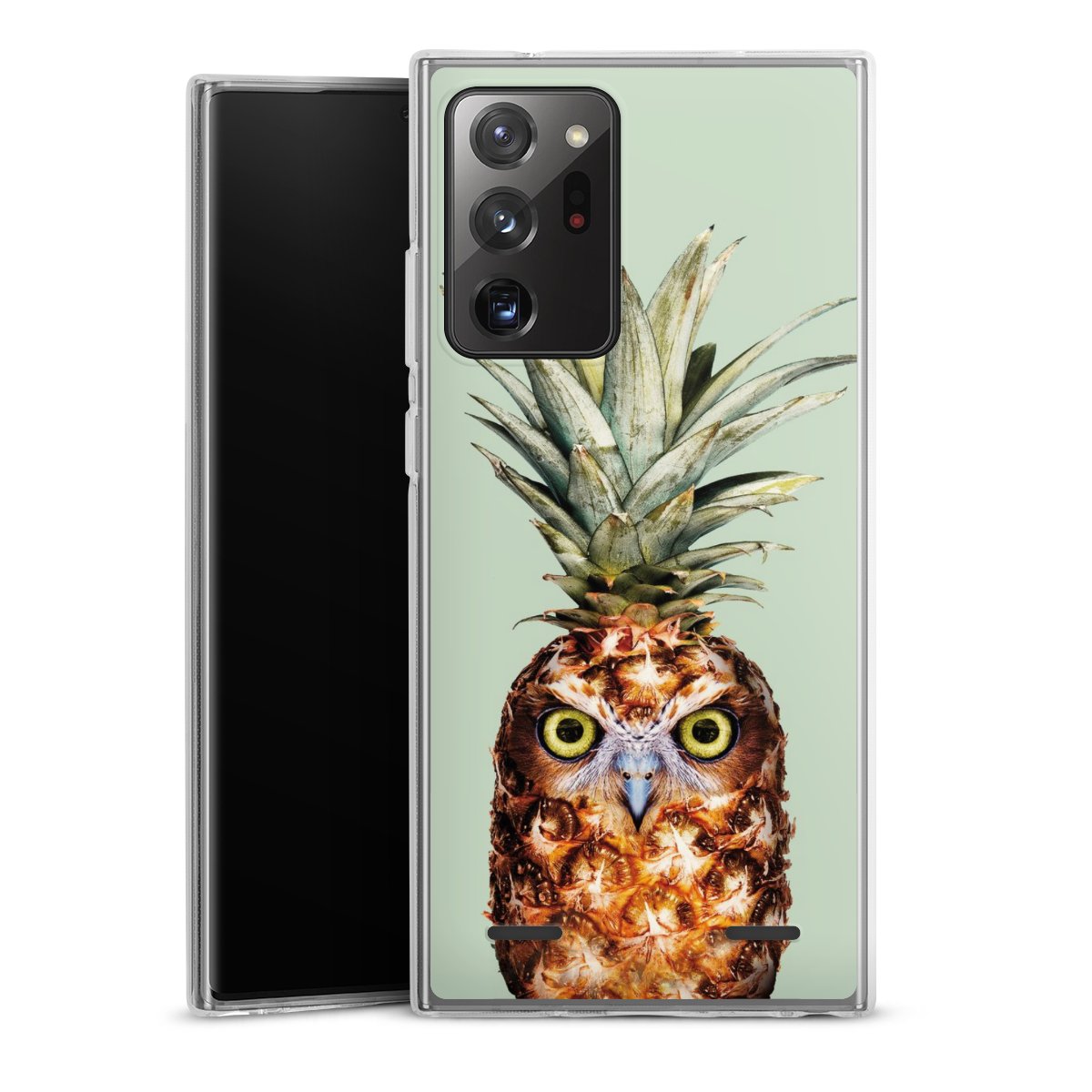 Hibou de l'ananas