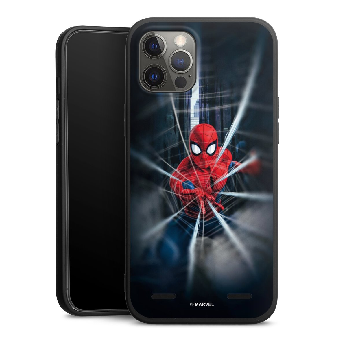 Toile Spider-Man