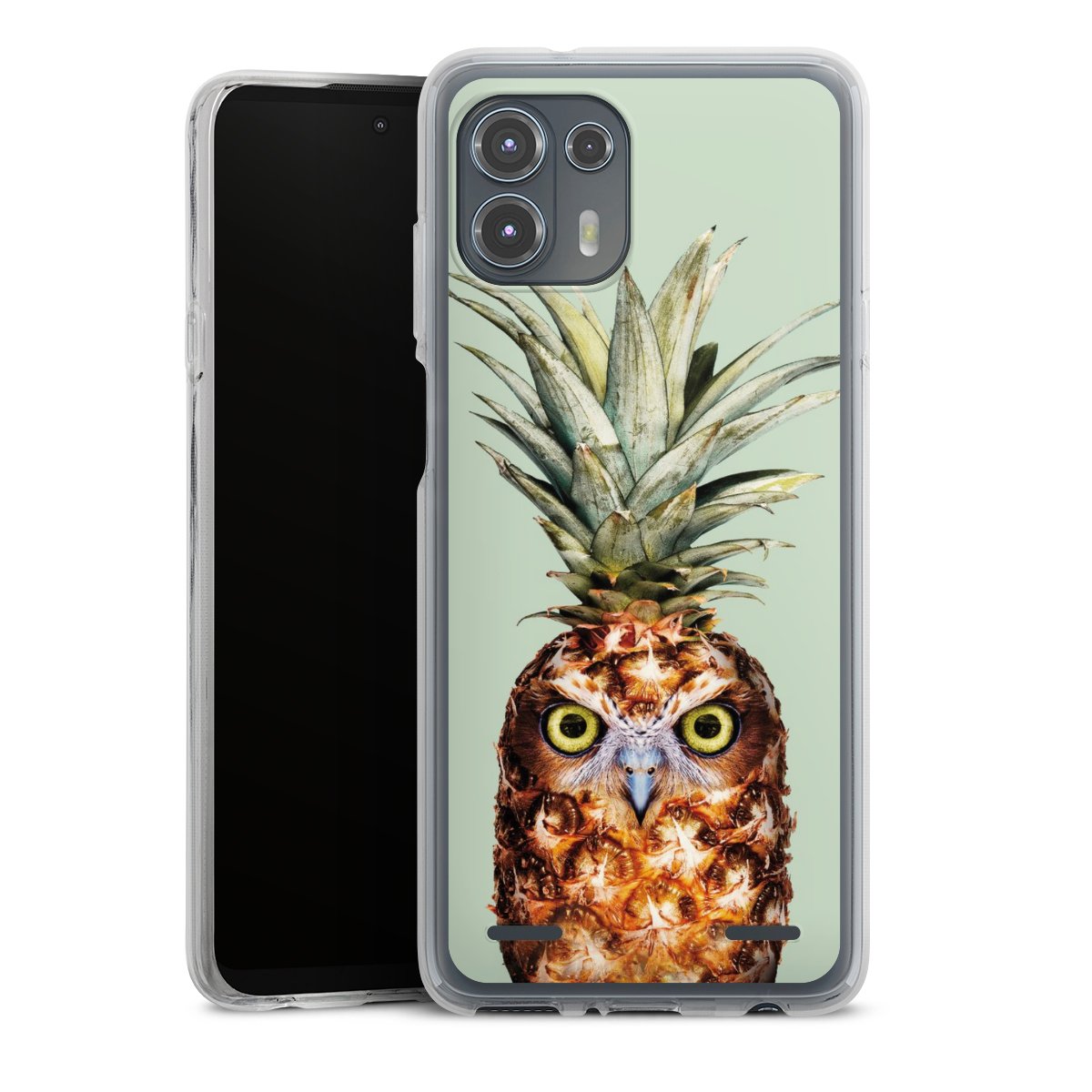 Hibou de l'ananas