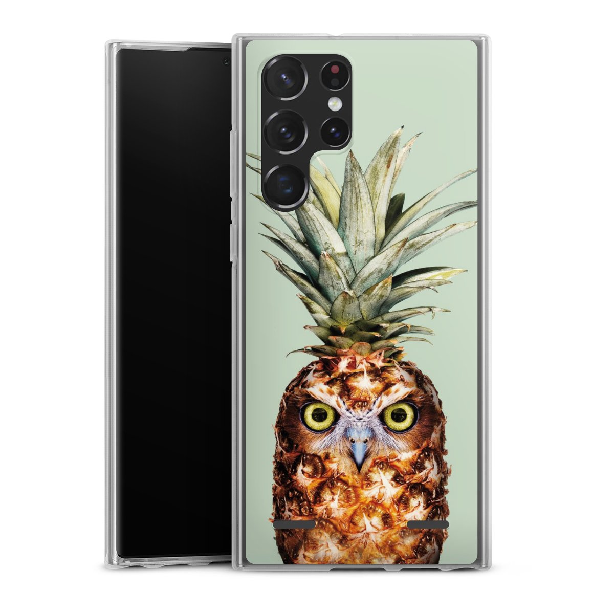 Hibou de l'ananas