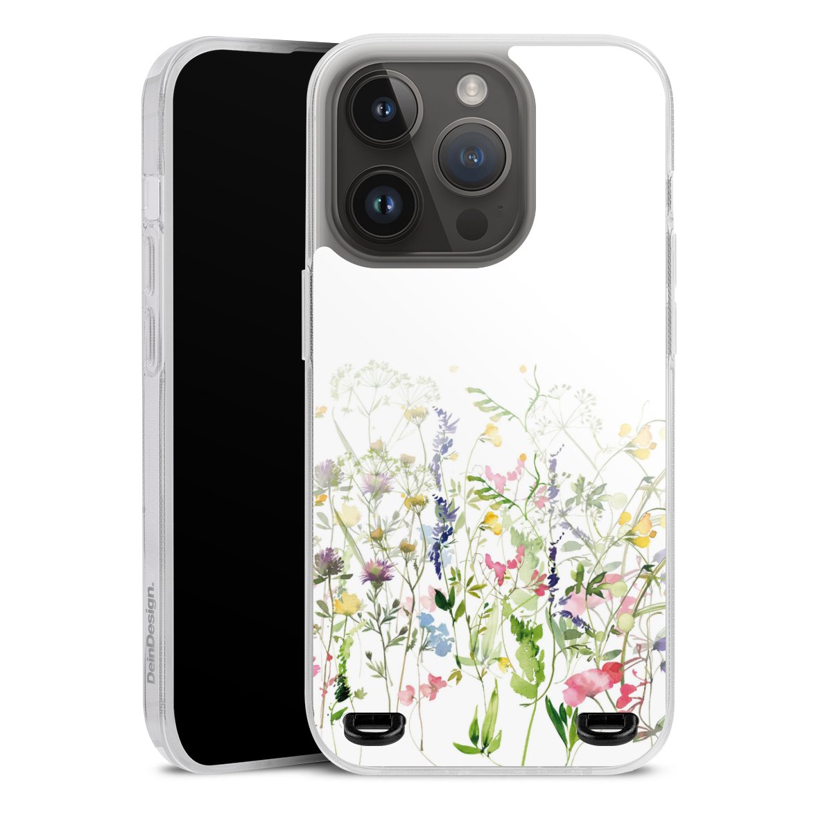 Fleurs de prairie printanières colorées
