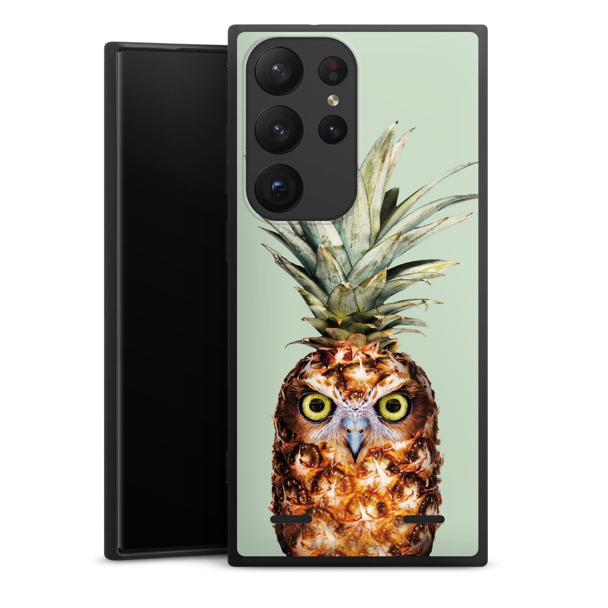 Hibou de l'ananas