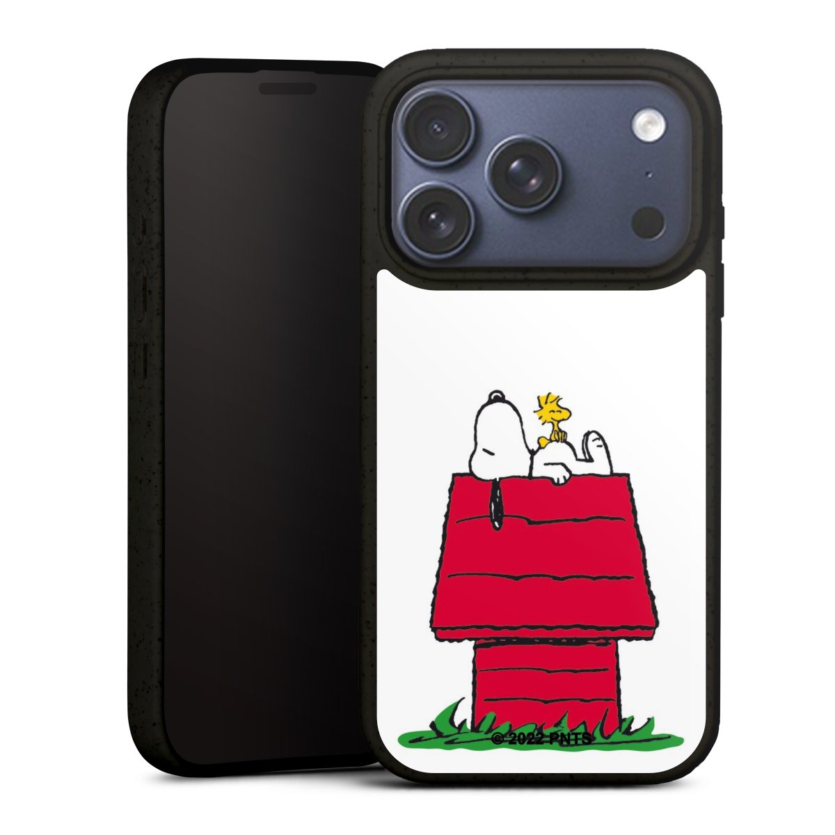 Snoopy & Woodstock