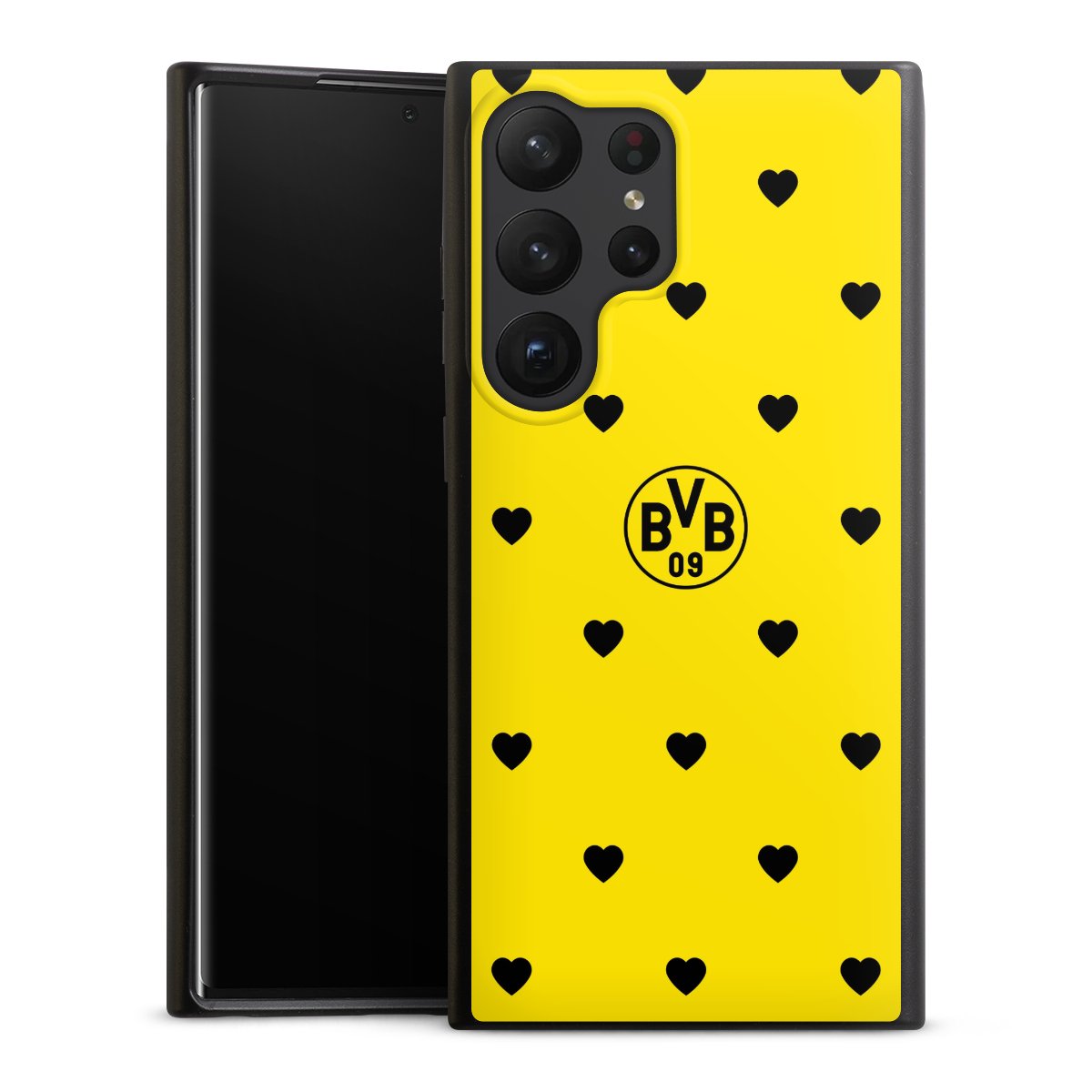 BVB Herzen