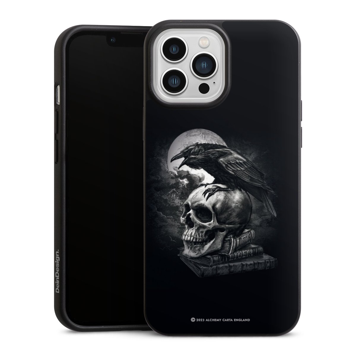 Poe's Raven