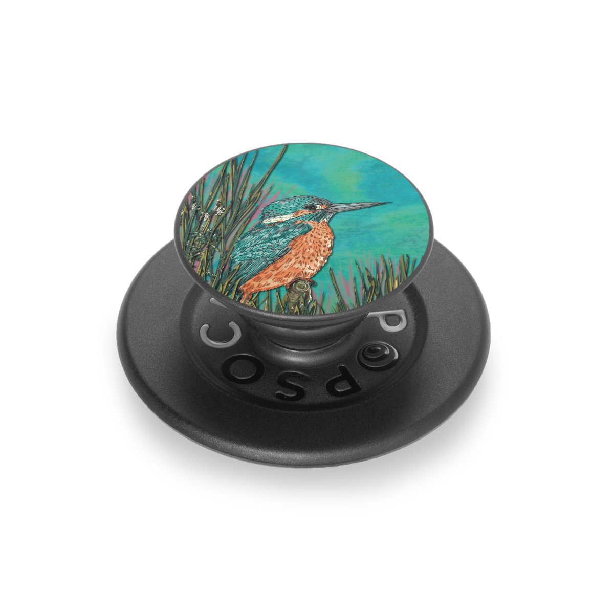Eisvogel