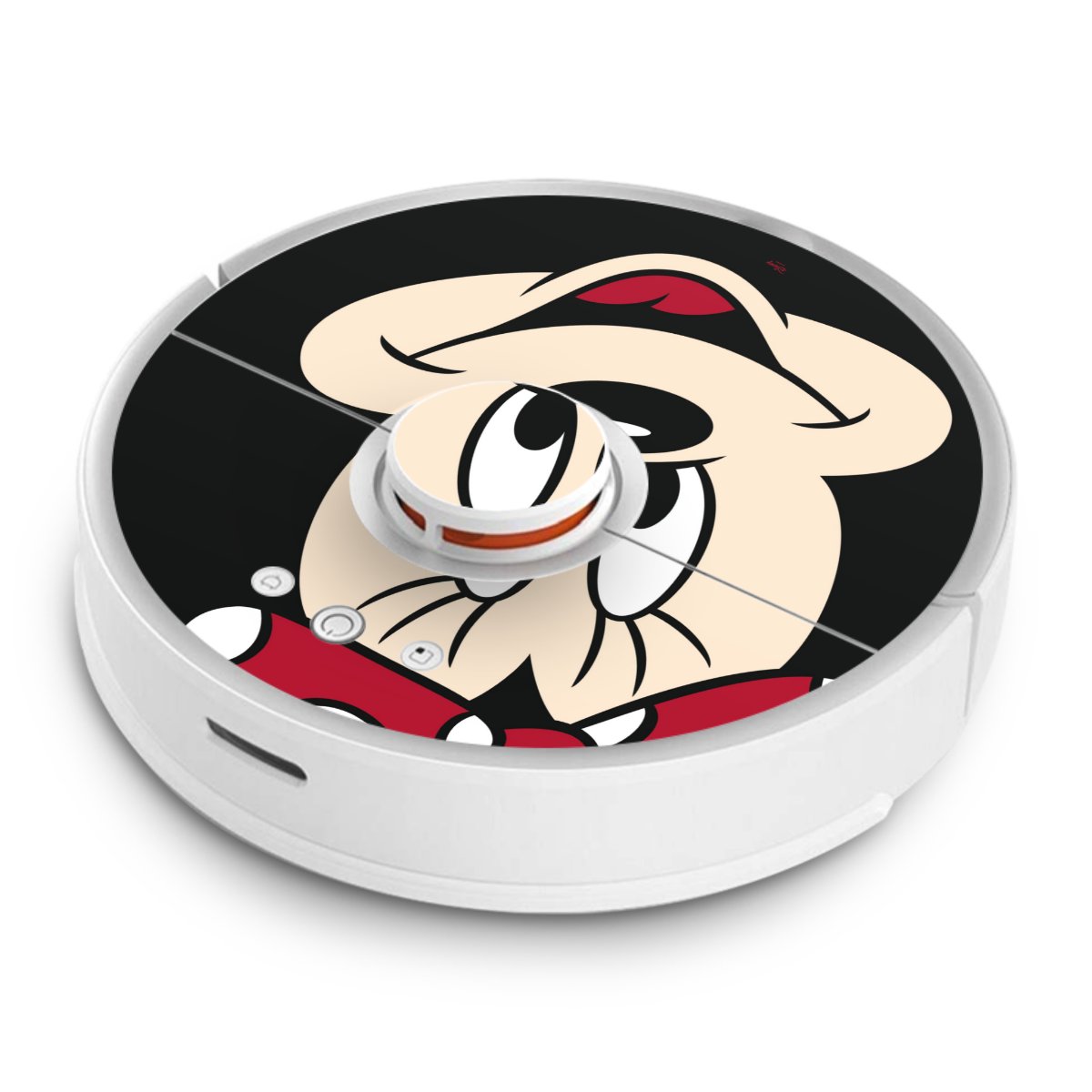 Minnie dappertutto