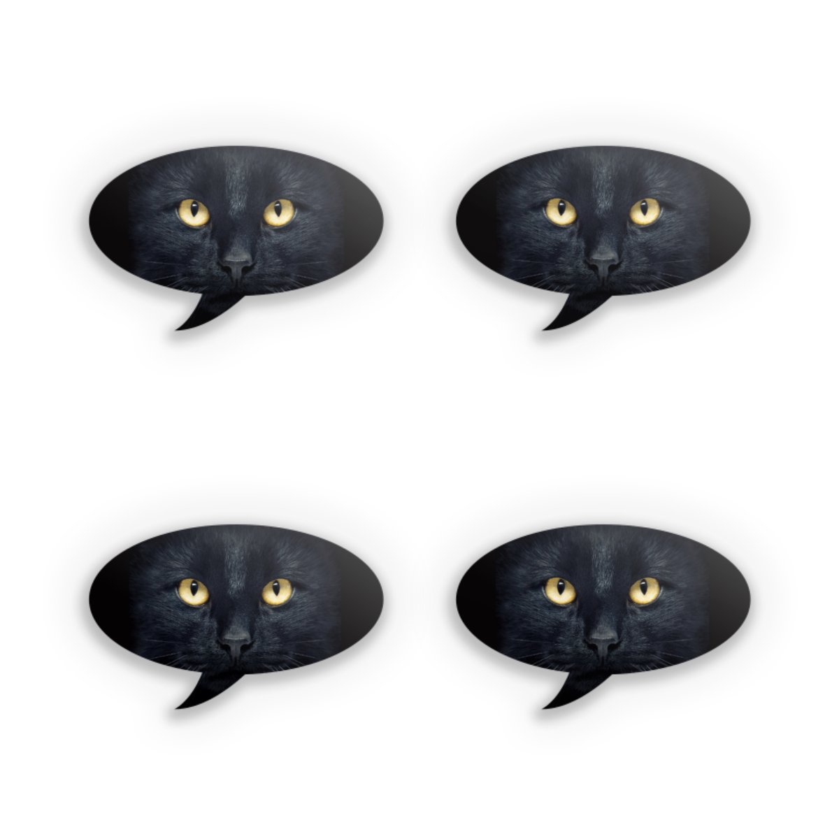 Tom Cat