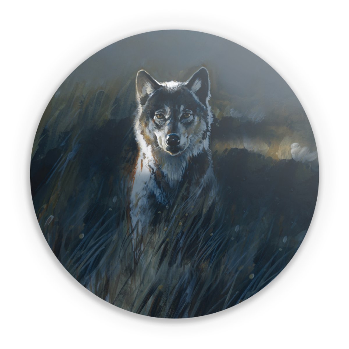 Loup 2