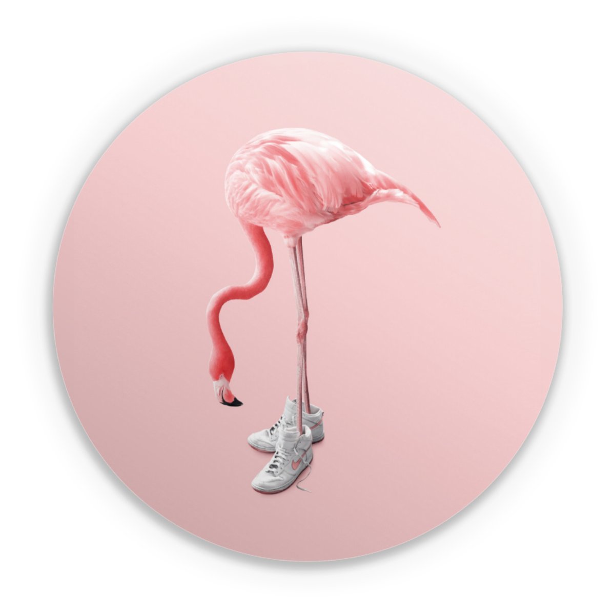 Sneaker Flamingo