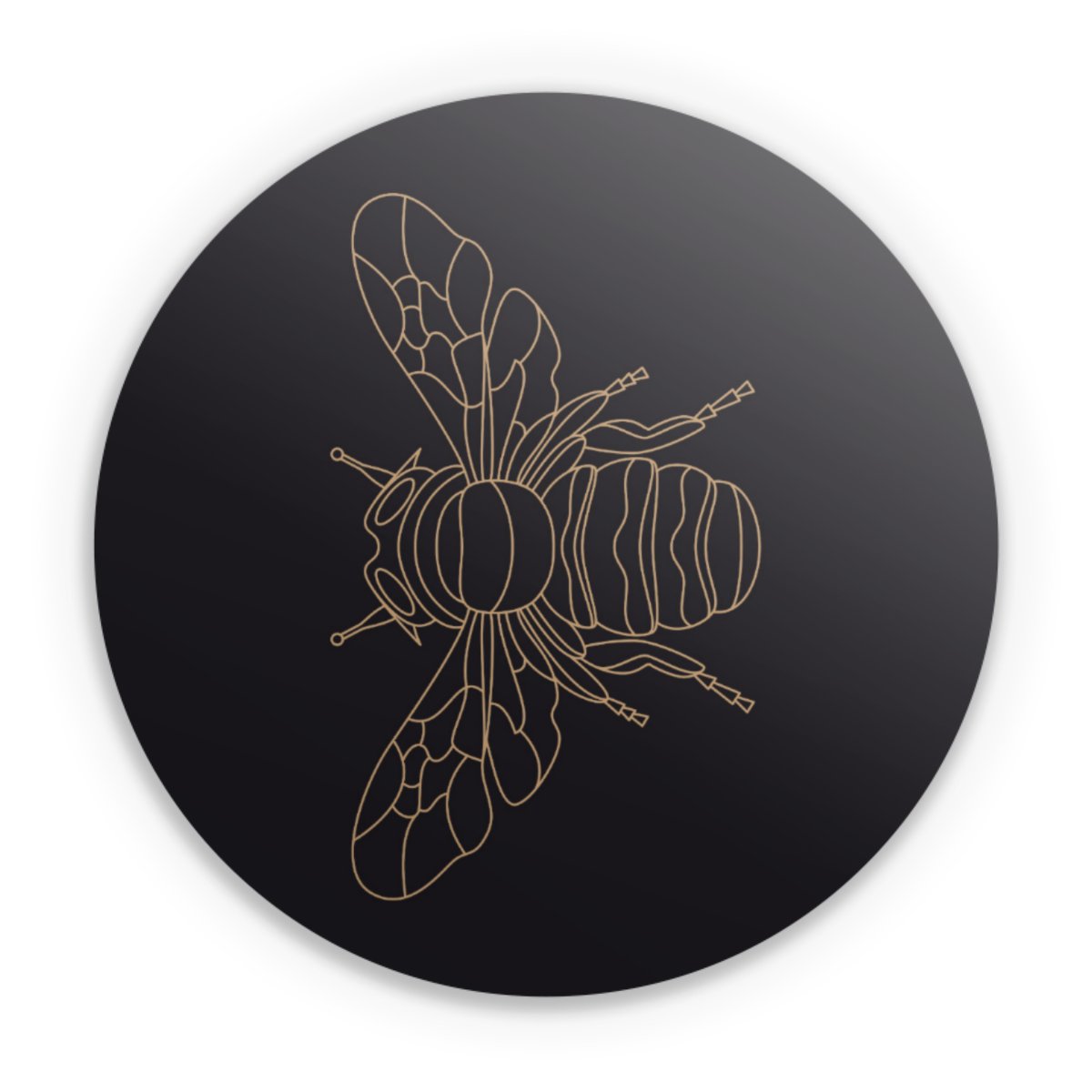Insect Silhouette 3