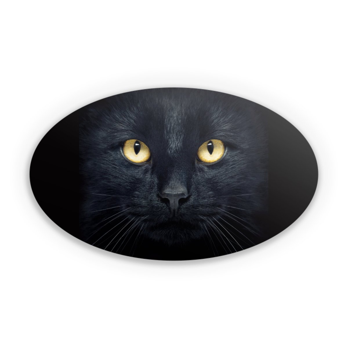 Tom Chat