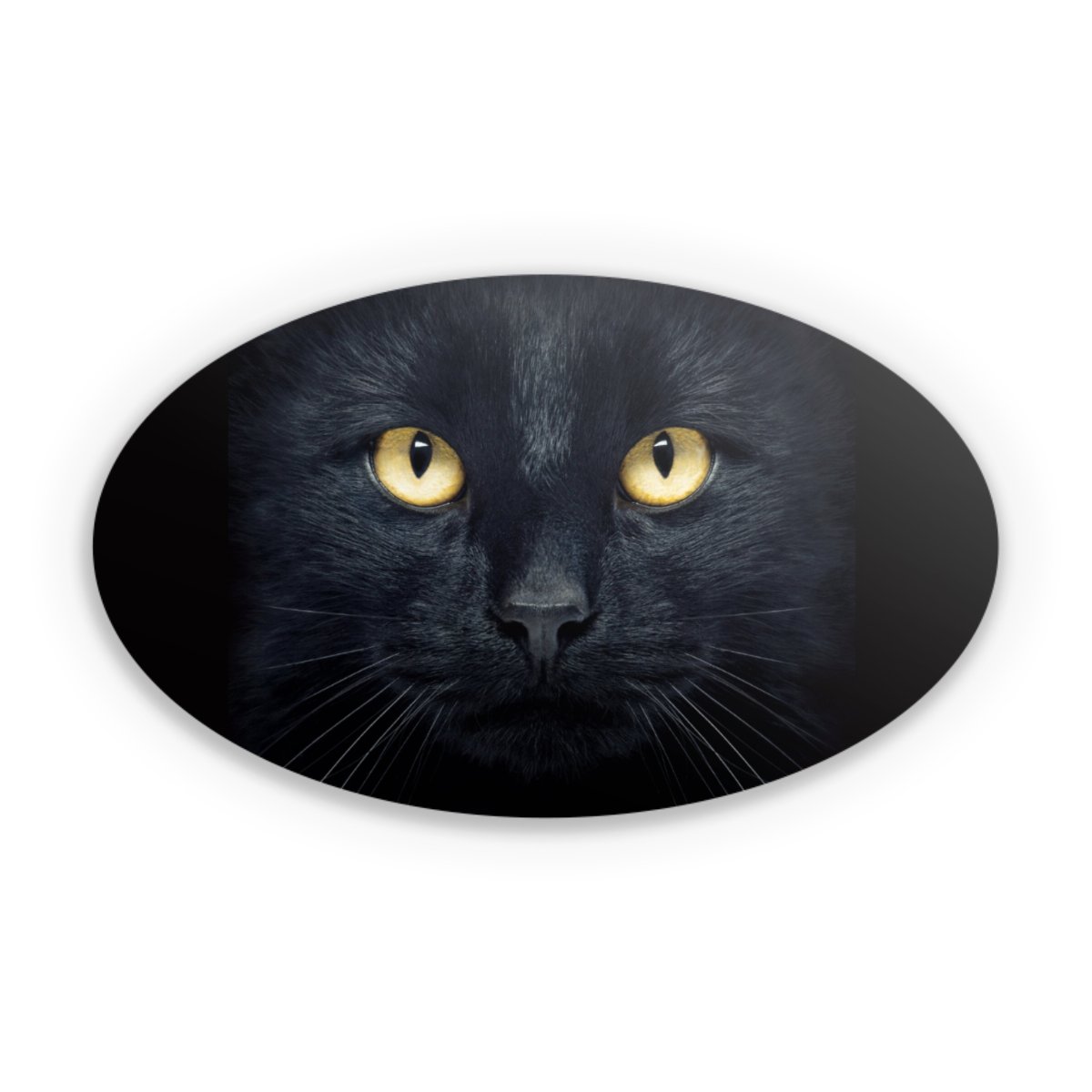 Tom Cat