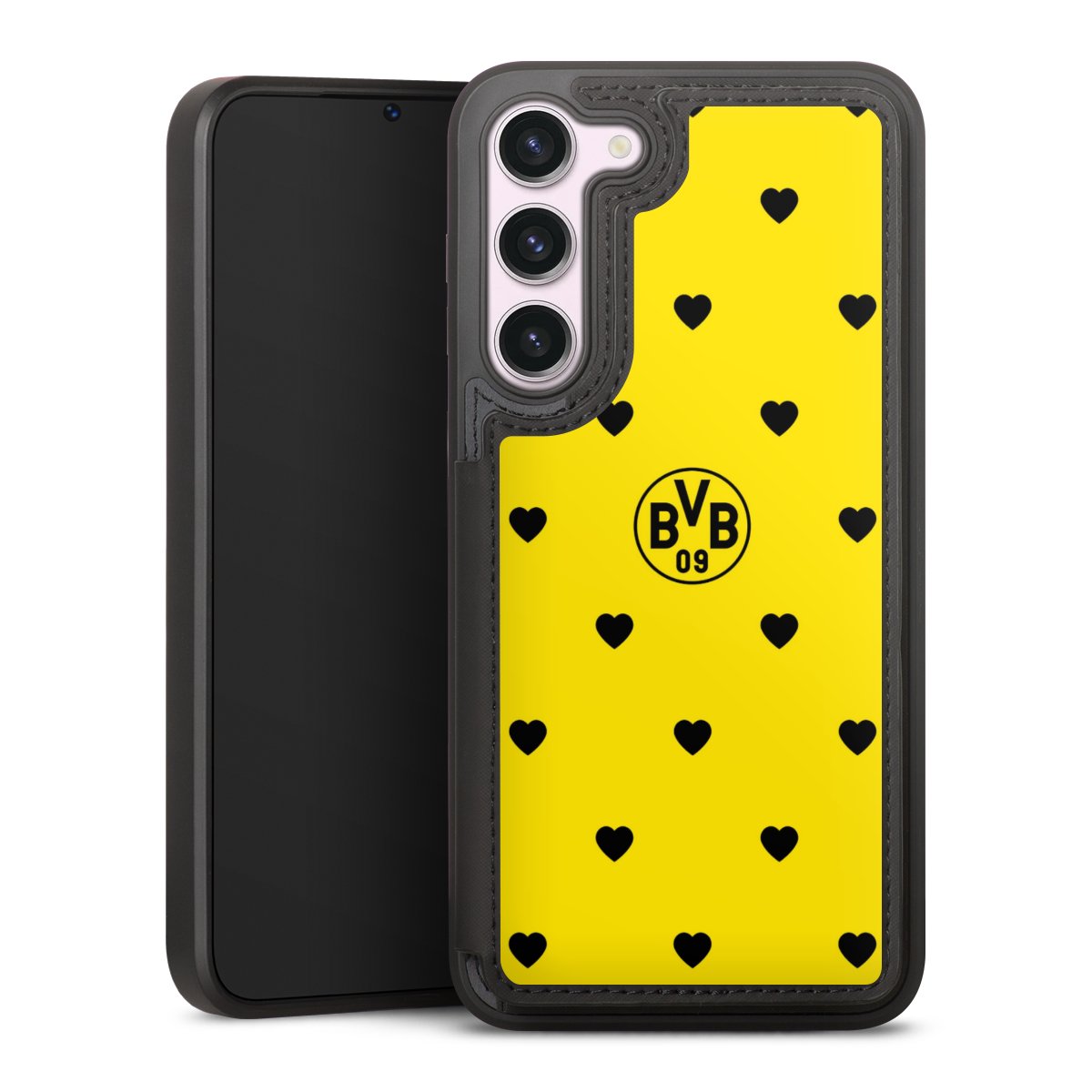 BVB Herzen